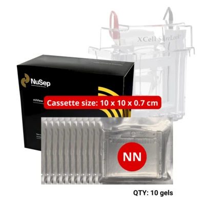 Tris-Glycine UV reactive Precast Gel - Invitrogen Mini Cell™ 10 well, 4-20% O1Y - Image 1 of 4