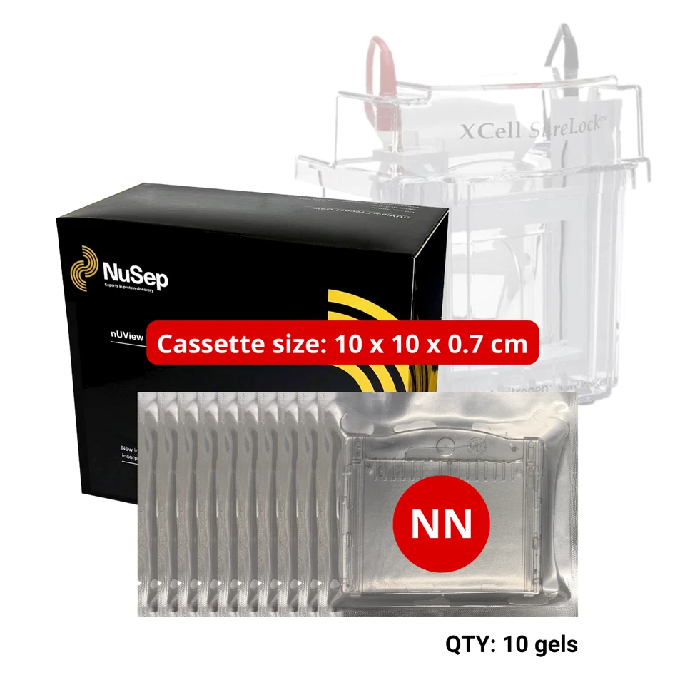 Gel prefabricado reactivo UV Tris-Glycine - Invitrogen Mini Cell™ 10 pozos, 4-20% O1Y Foto 1 de 4