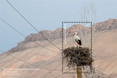 Azerbaiyán - República Autónoma de Najicheván - Cigüeña Blanca Foto 1 de 2