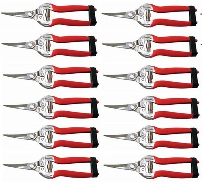 Corona AG 4940SS Cizalla Podadora Larga Curvada Acero Inoxidable - Paquete de 12 Foto 1 de 4