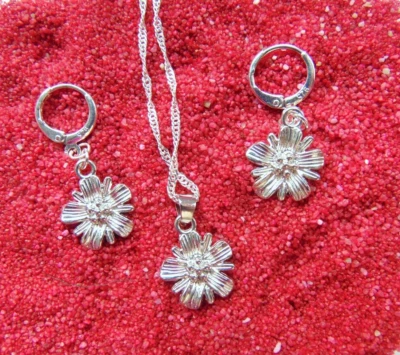 925 Silber Schmuck Edelweiß Hals Kette Anhänger Creolen Blume silber - Bild 1 von 4