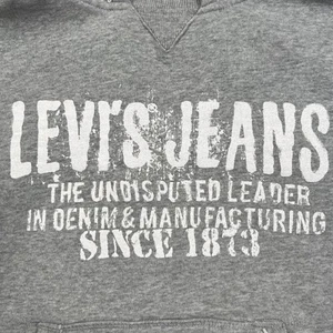 Levi’s Sweatshirt Boys XL Pullover Hoodie Gray Pouch Pocket Frayed Distressed - Picture 1 of 13