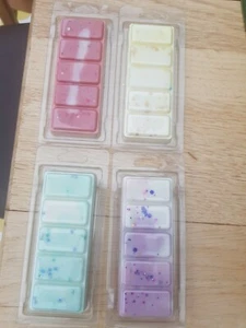 Scented Wax Melt Clamshell - Picture 1 of 6
