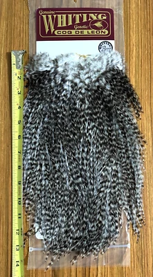 Sillín Whiting Coq De Leon, Grizzly, grado bronce, atar moscas Foto 1 de 2