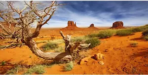 AWERT 48X18 Inches Reptile Habitat Background Orange Desert Terrarium Background - Picture 1 of 12