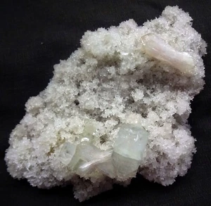 STUNNING APOPHLYLITE CUBES W/ STILBITE BOWS ON CORAL CHALCEDONY FORMAT MATRIX - Picture 1 of 3