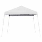 Z-Shade 10x10 Ft Push Button Angled Leg Instant Shade Canopy Tent (Open Box)