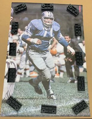 PÓSTER ALEX KARRAS 1970 Sports Illustrated 6N71 enrollado en bolsa original RARO PATIO Foto 1 de 4