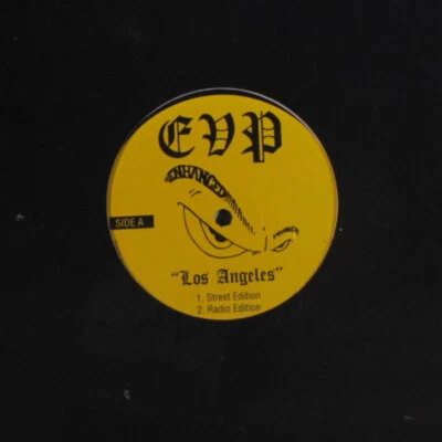 EVP: los angeles Infinite -E- Records 12" Single 33 RPM Sealed Foto 1 de 2