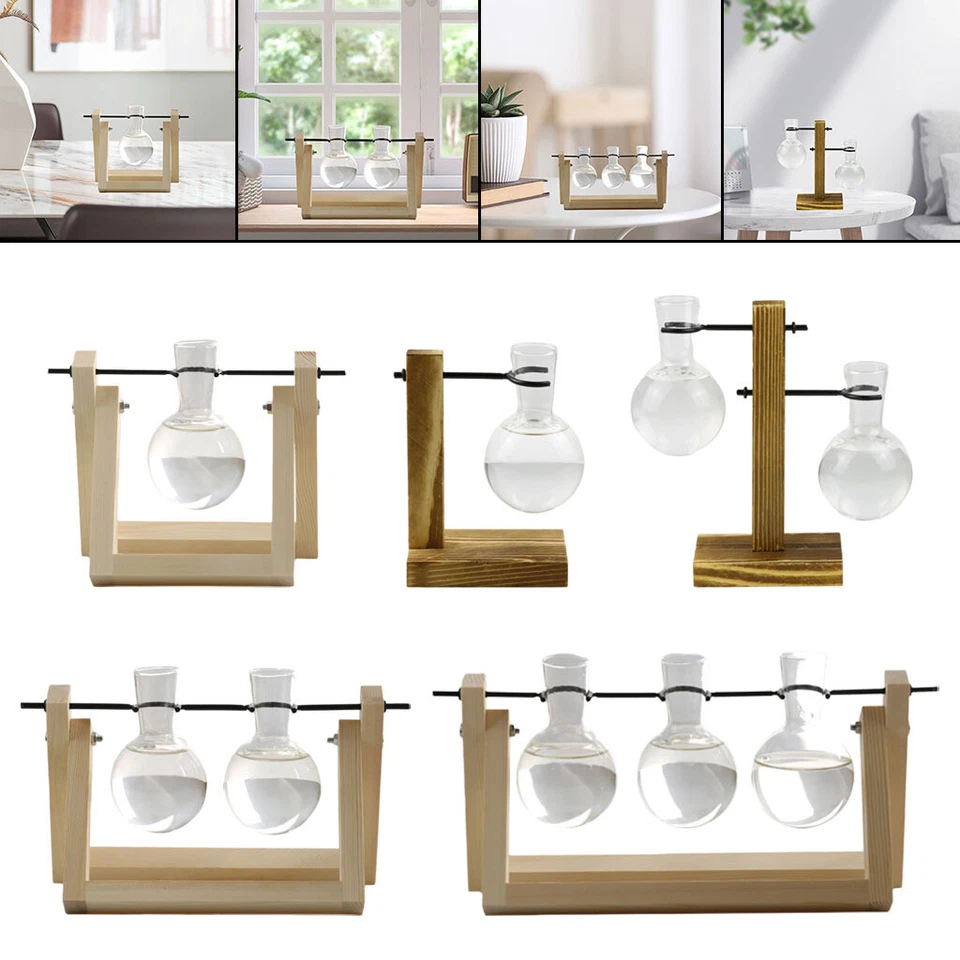 Terrarium Propagation Plant Stations with Wooden Stand, Desktop Planter Bulb - Image 1 of 1