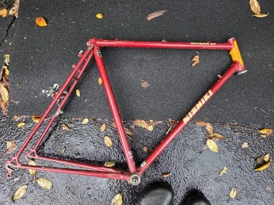 Cuadro de bicicleta vintage Nishiki Riviera GT Gran Touring 58 cm Tange Infinity Foto 1 de 4