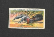 Farrows 1925 Scarcer ( Animals ) Type Card "" # 22 Giant Ant Eater ""