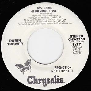 Robin Trower, My Love (Burning Love), (7", Mono, Promo), VG+, 3584312811 - Picture 1 of 3