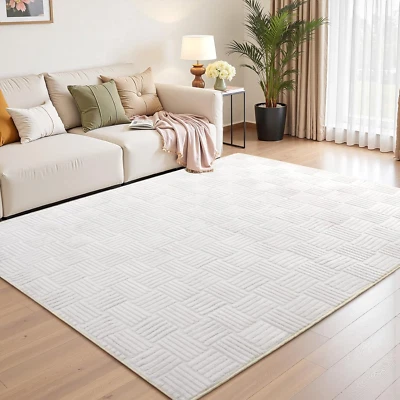 Alfombra moderna peluda, alfombra lavable blanca crema de 4 X 6 pies para sala de estar dormitorio Foto 1 de 4