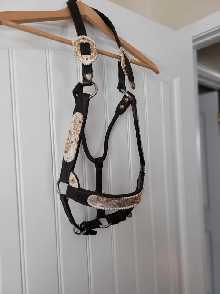 Kathy's Show Halter Santana #326 Plata con piedras rojas Foto 1 de 4