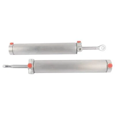 一对可转换顶部液压缸适用于福特野马和眼镜蛇 1999 - 2004 — 第 1/4 张图片