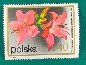 Polska 40 gr Poland Single Stamp - Picture 1 of 2