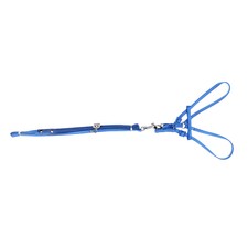 Adjustable Reptile Pet Lizard Bird Ferret Rat Harness Leash Lead Rope Light Soft