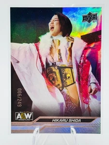 Jaula de acero Hikaru Shida 2024 cubierta superior paralela #006/249 - rara - Imagen 1 de 3