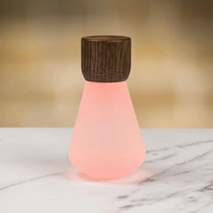 Pentagon Bulb Desk Light in Walnut Wood Frosted Acrylic Glass RGB light Gingko - Picture 1 of 3