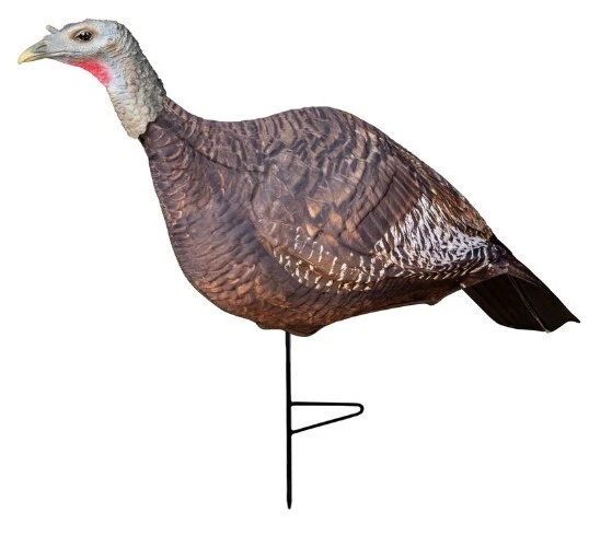 Señuelo Primos Photoform gallina pavo Foto 1 de 1