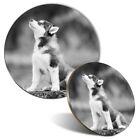 Mouse Mat & Coaster Set - BW - Siberian Husky Dog Puppy Animals Pet  #41308