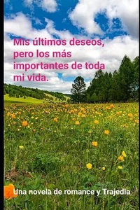 Mis ltimos deseos, pero los ms importantes de toda mi vida by Maria Gomez Arias - Picture 1 of 1