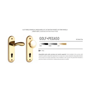 KIT HOTEL PER PORTE BATTENTI POMELLO FISSO PEGASO + MANIGLIA INTERNA GOLF IN OTT - Imagen 1 de 2