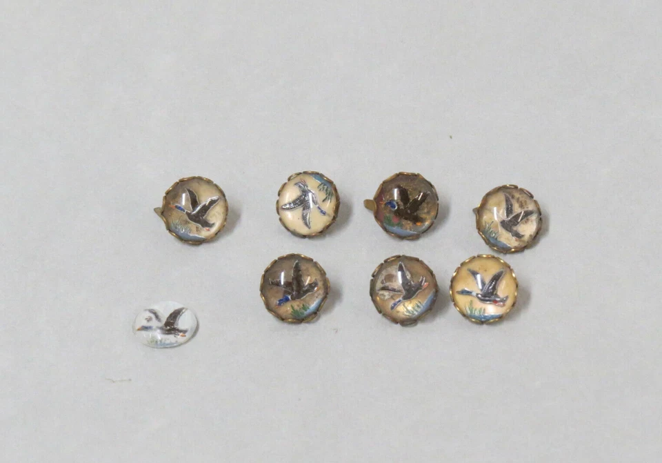 Cabujones de vidrio antiguos/vintage - Patos - Respaldos de latón con puntas - Juego de 7 (+1) Foto 1 de 3