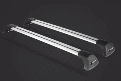 Portaequipajes portaequipajes apto para todos los sedanes riel de techo de acero plateado Foto 1 de 4