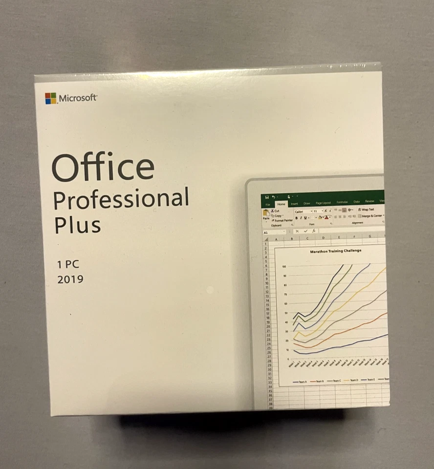 Microsoft Office 2019 Professional Plus Window DVD