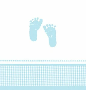Plaid Blue Boy Party Baby Shower Decor Table Cover Tablecloth 48 x 88 Border - Picture 1 of 1