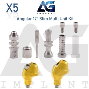 Kit de 5 unidades múltiples angulares 1.6 prótesis plataforma delgada 17° Int hexagonal titanio - Imagen 1 de 5