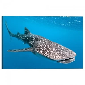 Cadre D'Impression Sur Toile Baleine - Imagen 1 de 1