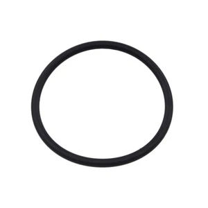 SPI Fuel Pump Seal O-Ring for Ski-Doo many 2017-2025 Replaces OEM# 513033862 - Picture 1 of 1
