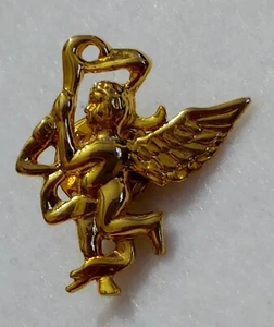  Angle ( Lapel Pin ) Gold Tone - Size 1 1/4 in Tall x 1 1/8 in Wide - Picture 1 of 11