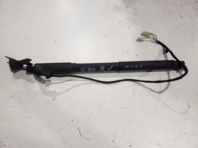 BMW X5 E70 2005 - puntal escotilla maletero derecho - OEM 7172060 Foto 1 de 4