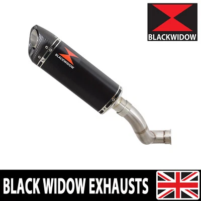 Silenciador de escape KTM 690 Duke R 2012-2019 bote triple ovalado negro + carbono BC30T Foto 1 de 4