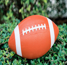 Extreme American Soft Grip Nfl Soccer Football used