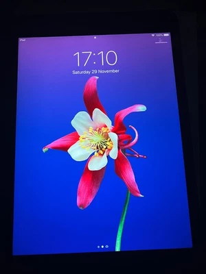 Apple iPad mini 2 64GB, Wi-Fi, 7.9in - Silver - Image 1 of 4