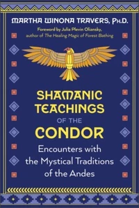 Shamanic Teachings of the Condor: Encounters with the Mystical Traditions of the - Picture 1 of 1
