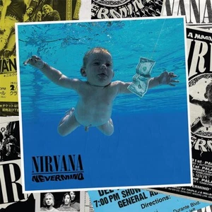Nirvana Nevermind 30th Anniversary LTD 8LP Vinyl Box + 7" Vinyl +Hardcover Buch - Bild 1 von 3