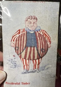 Postcard Presidential Timber Taft 3-D - Picture 1 of 2