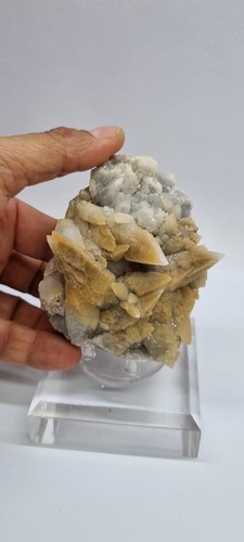 Foto 1 di 10