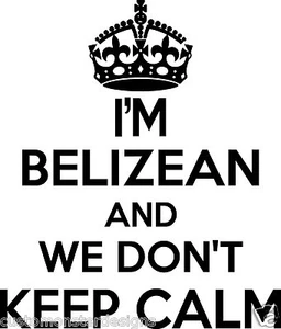 Pegatina de pared de Belice... 20 pulgadas de alto We Don't Keep Calm vinilo decoración artística de pared - Imagen 1 de 2