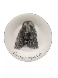 Cocker Spaniel Fine Bone China Plate - Norfolk China - New Condition - Picture 1 of 3