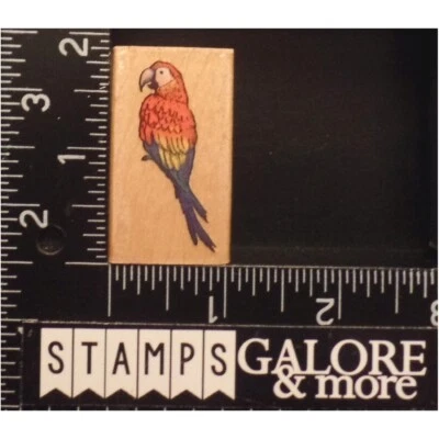 Estampillas de goma para toda la noche 331D guacamayo escarlata periquito pájaro tropical #W15 Foto 1 de 2