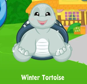 Webkinz Classic Winter Tortoise Virtual Adoption CODE ONLY Holiday Pet Turtle - Picture 1 of 2