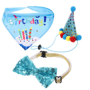 Chapeau d'anniversaire ensemble de ballons bandana - cadeau d'anniversaire chiot parfait