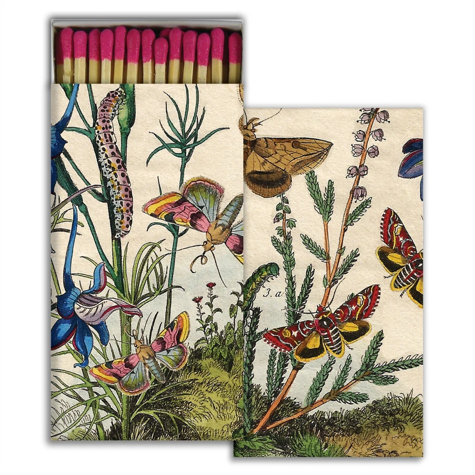 Prairie Set of 2 Large Matchboxes with Wooden Matches - Image 1 of 1